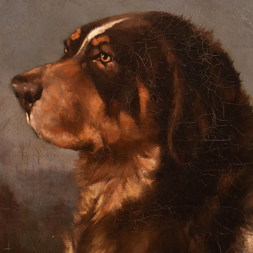 QA633 1 antique oil painting dogs portraits painting XIX century.jpg